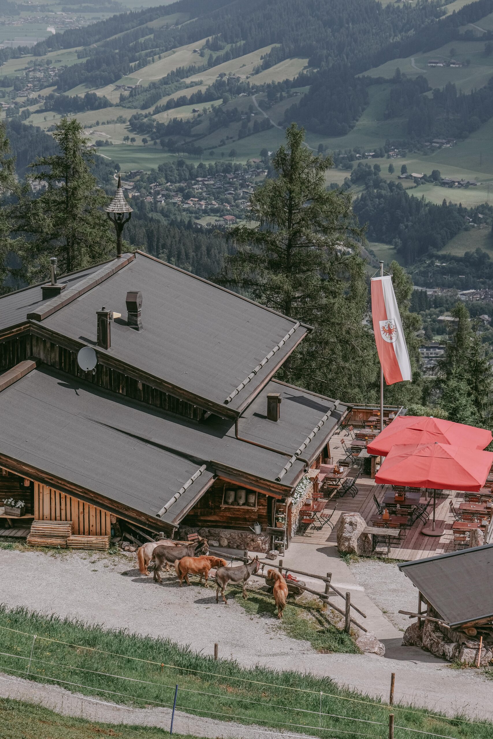 Blick von oben auf die Seidlalm und die schöne Panorama Terasse, mit Tieren vor der Hütte.